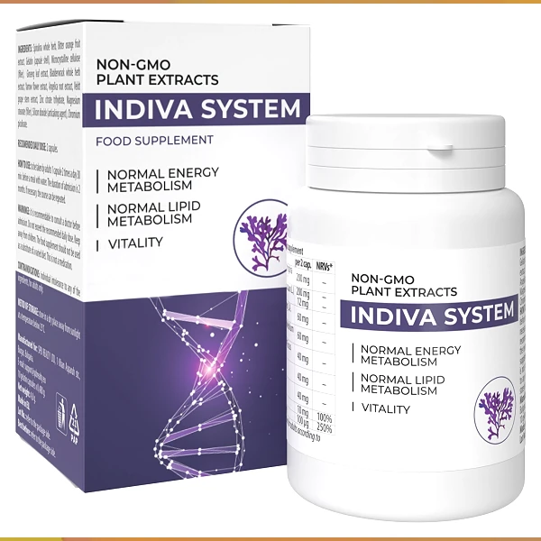 INDIVA SYSTEM